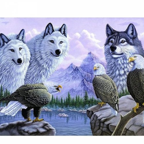 Bshop Diamantový obraz so vzorom vlka a orla 40x30 cm
