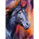 Diamantový obraz so vzorom koníka 35 x 25 cm